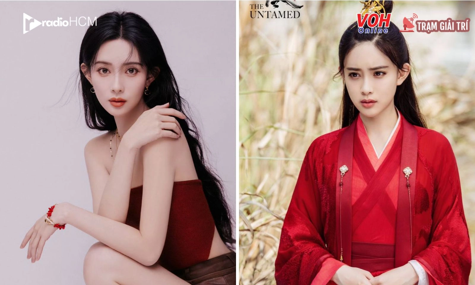 Tại sao Mạnh Tử Nghĩa ghim bài đăng thanh minh từ thời Trần Tình Lệnh?