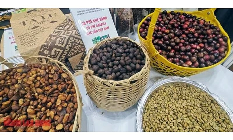 Giá cà phê trong nước tăng, thị trường khởi sắc trở lại