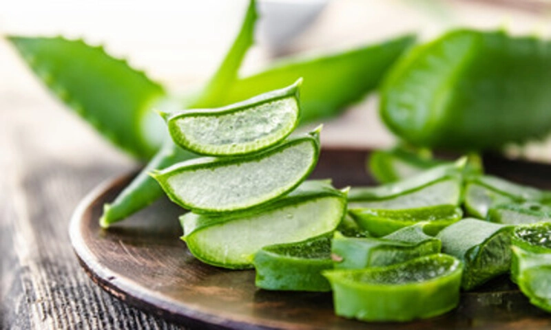 Nha đam – giải pháp tự nhiên chống lão hóa da hiệu quả