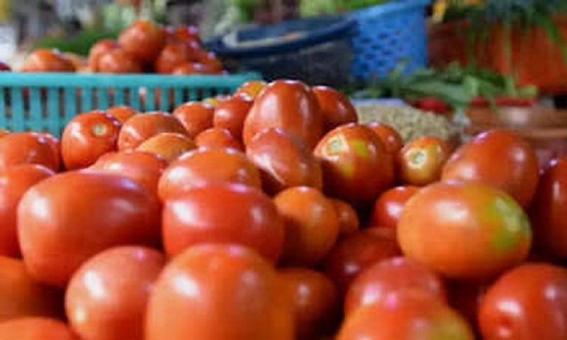 Mỹ áp thuế chống bán phá giá với cà chua Mexico, chấm dứt thỏa thuận 2019