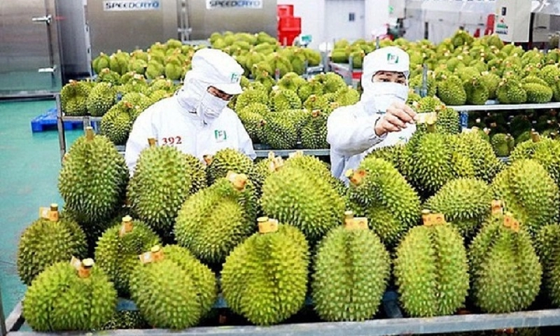 Xuất khẩu rau quả quý I giảm hơn 11%