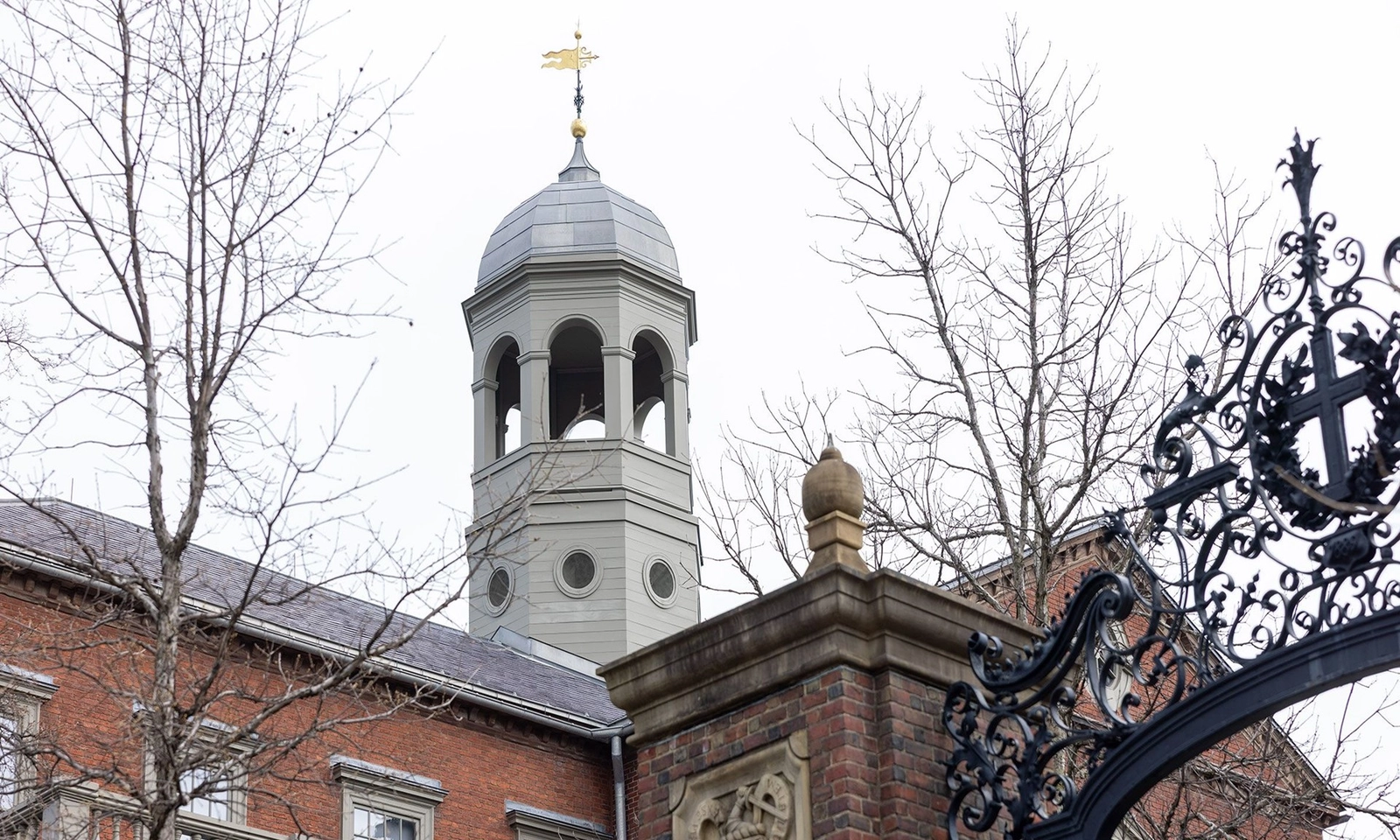 Mỹ đe dọa tước quyền tuyển sinh sinh viên quốc tế của Đại học Harvard