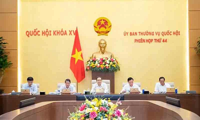 Chức vụ nào được được chỉ định, bổ nhiệm khi sáp nhập tỉnh, lập xã mới?