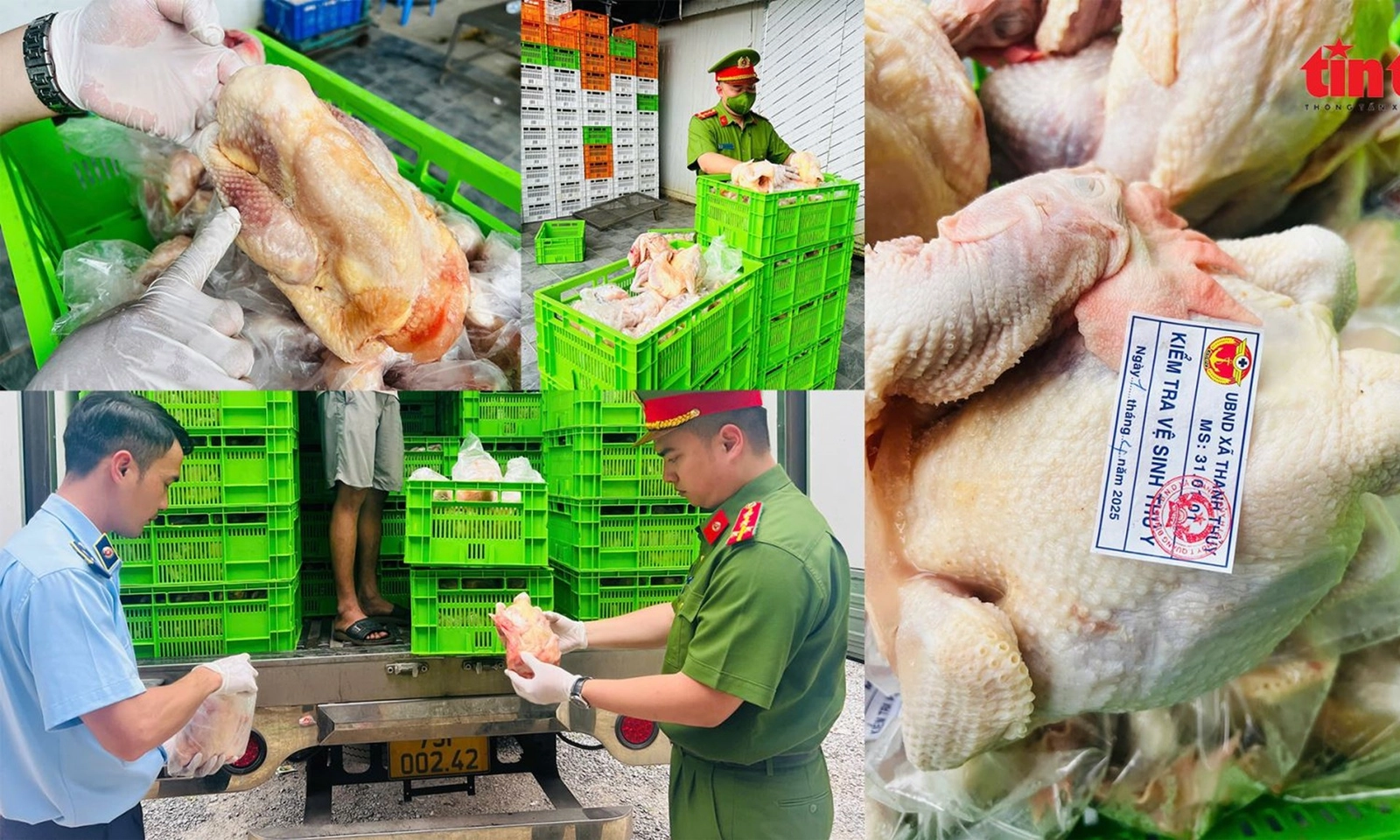 Kịp thời ngăn chặn 20 tấn thịt gà bẩn tuồn ra thị trường