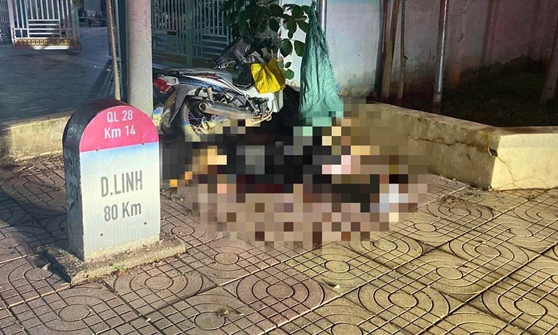 Cô gái đi xe máy bất ngờ lao thẳng vào lề, tử vong tại chỗ