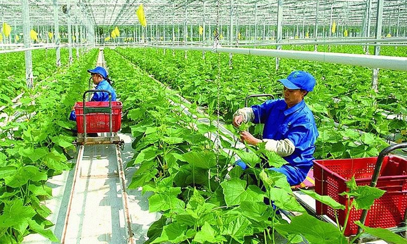 Tin phát triển bền vững 5/5/2025: Gỡ các “nút thắt” thúc đẩy chuyển đổi xanh 