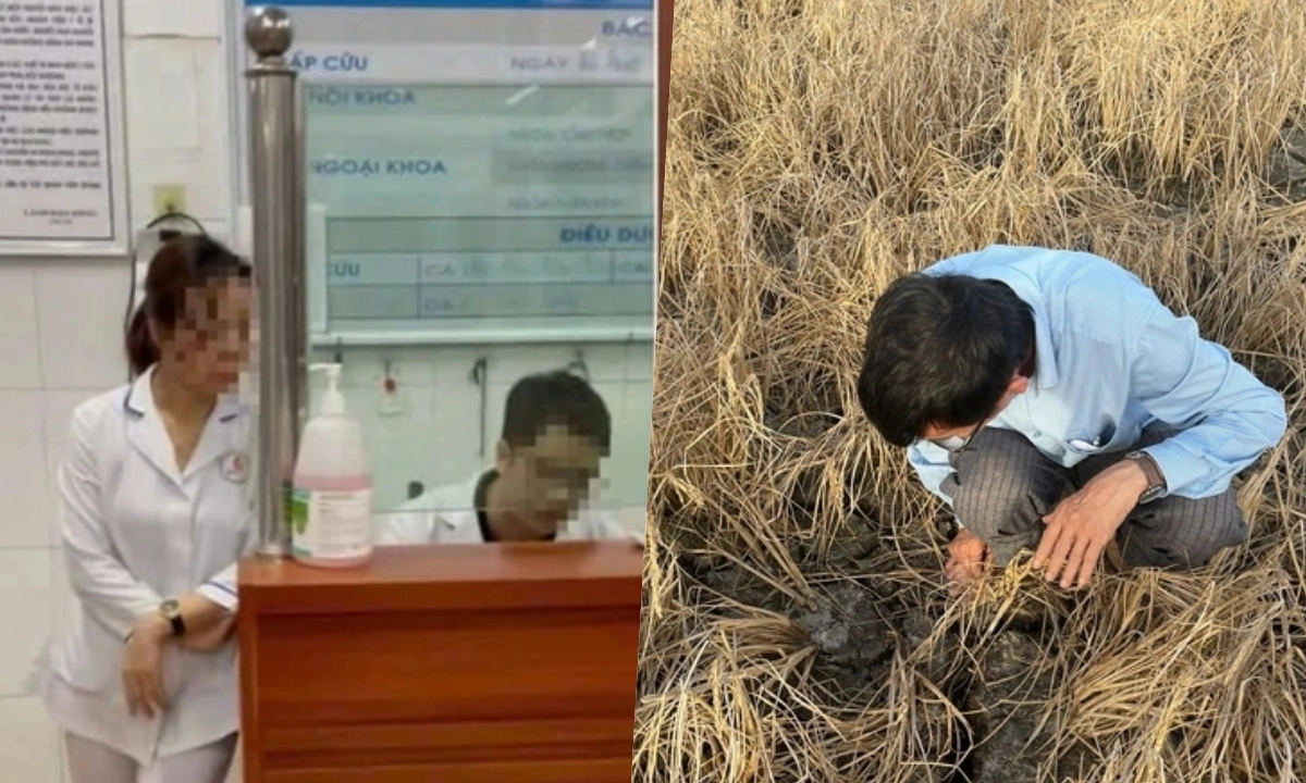 Điểm tin chiều 5/5: Diễn biến vụ “nộp đủ tiền mới cấp cứu” | Lúa chết gần cao tốc Cần Thơ - Cà Mau