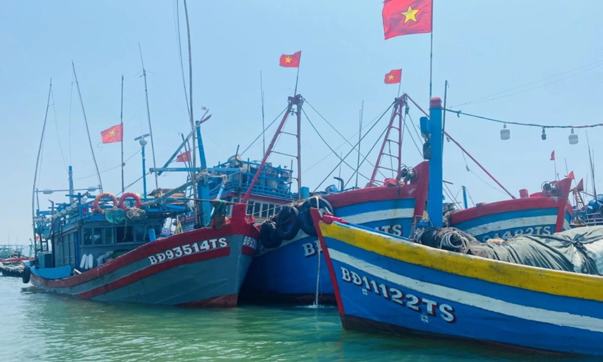 Bình Định đẩy mạnh chống khai thác IUU, hướng đến phát triển thủy sản bền vững