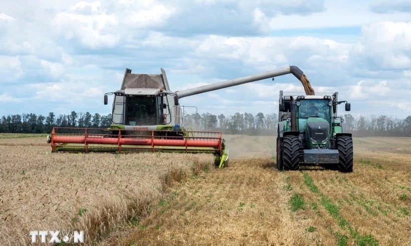 EU không gia hạn miễn thuế cho hàng nhập khẩu từ Ukraine
