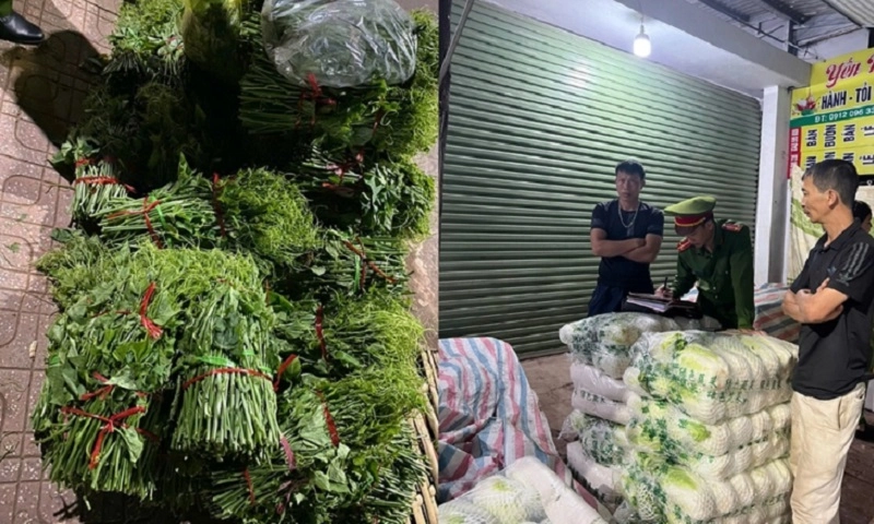 Tiêu hủy hơn 300 kg rau củ nhiễm chất cấm tại chợ đầu mối ở Sơn La