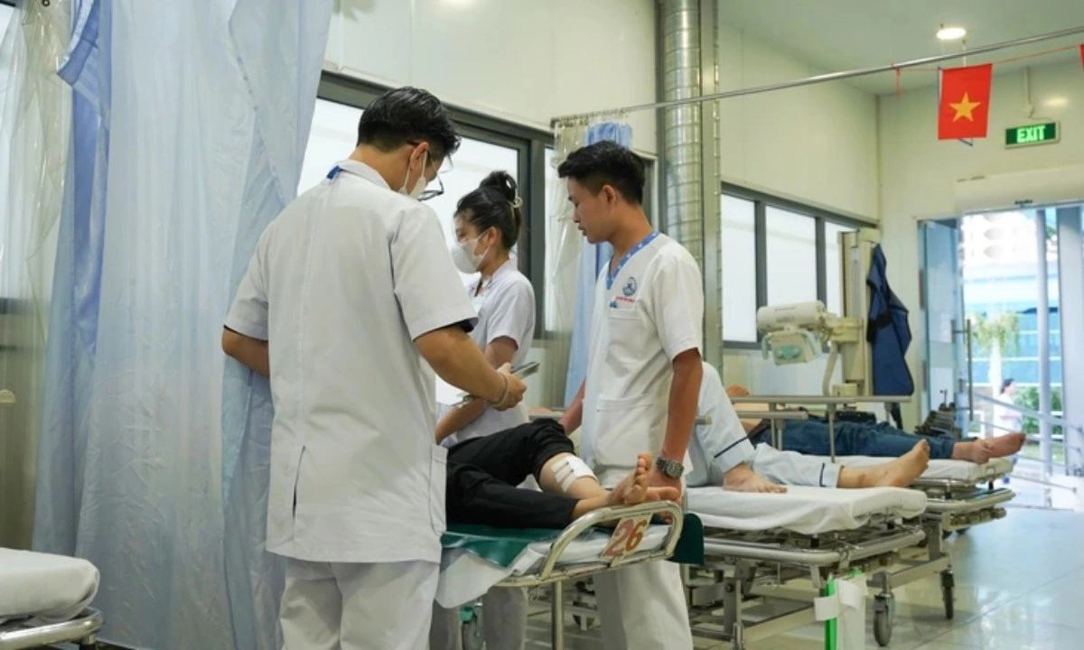Chó đánh hơi ung thư: Chính xác đến 94%