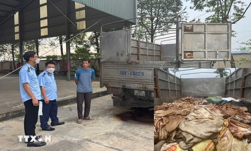 Tiêu hủy gần 5 tấn da trâu bò không rõ nguồn gốc 