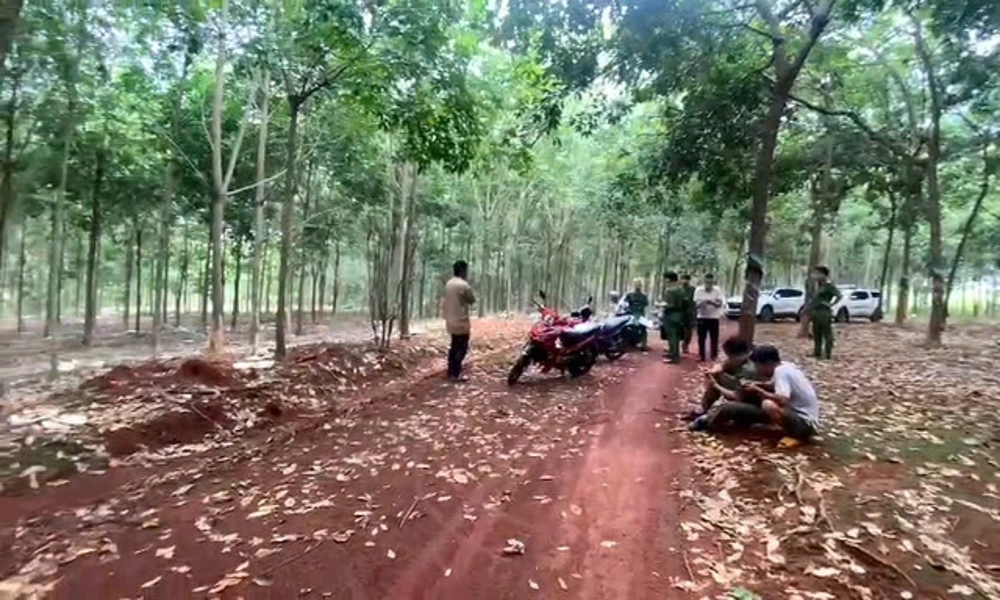 Phát hiện thi thể phân hủy treo lơ lửng tại Bình Phước