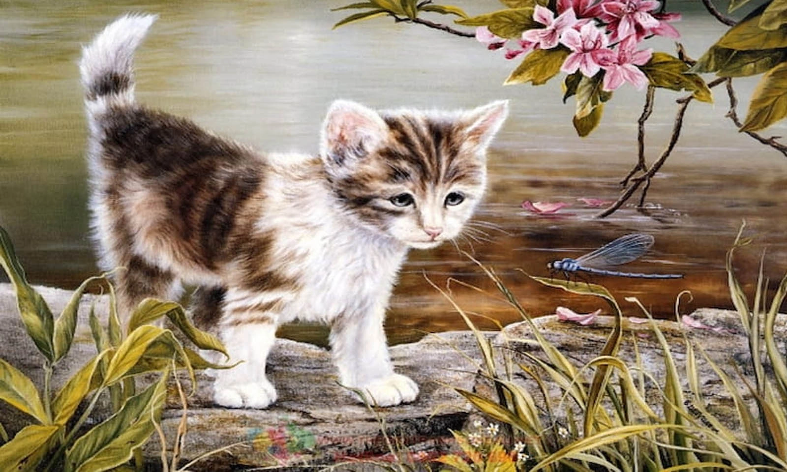 Tử vi tuần mới (19 - 25/5): 3 con giáp đón vận may, tận hưởng những ngày tươi sáng