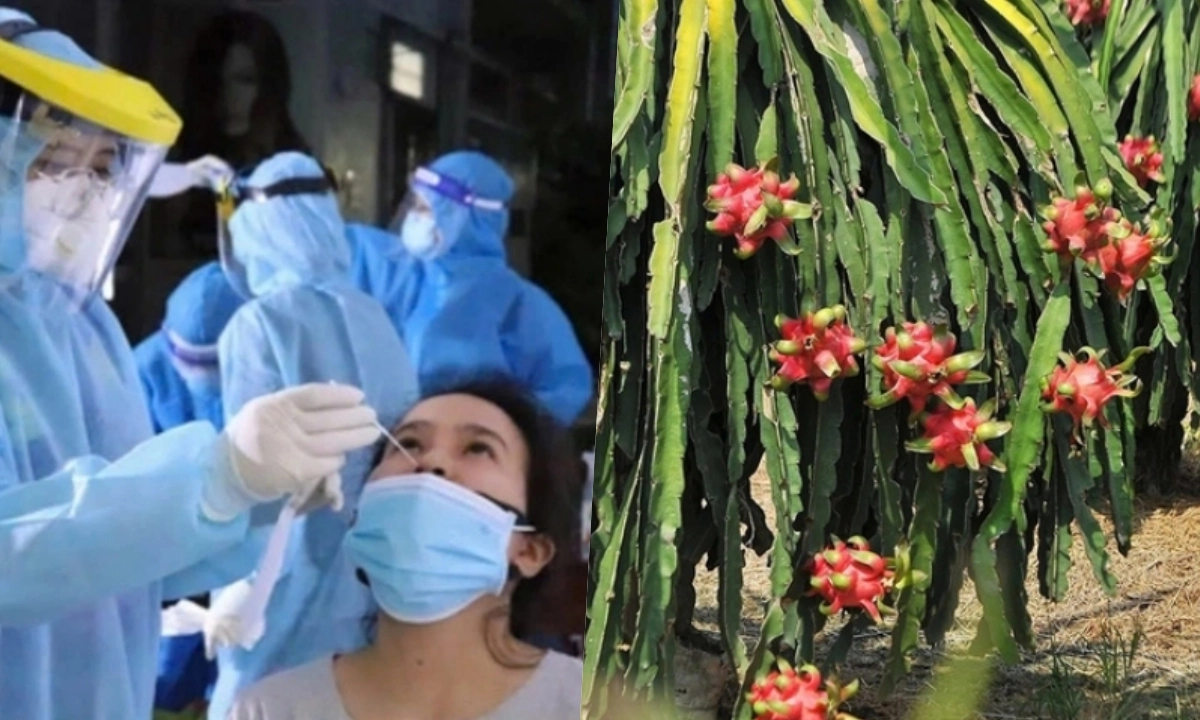   Điểm tin sáng 22/5: Tăng cường phòng chống COVID-19 | Cao điểm chống hàng giả, hàng độc hại 
