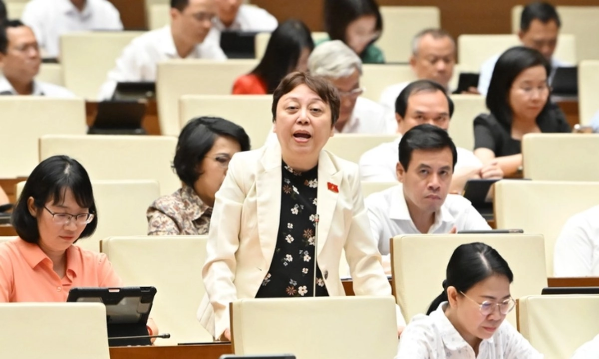 ĐBQH: Thanh tra đi đến đâu, hàng hóa bị giấu đến đó