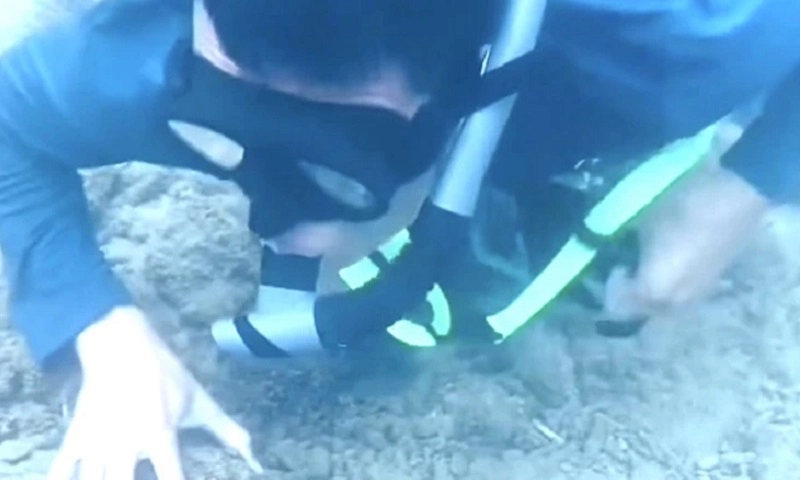 Tiktoker đăng clip lặn ngắm san hô ở Nha Trang, bị nhắc nhở vì nguy cơ ảnh hưởng môi trường biển
