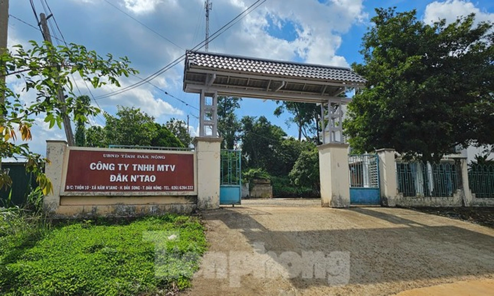 Phó Giám đốc lâm nghiệp bị đánh gãy xương khi tuần tra phá rừng