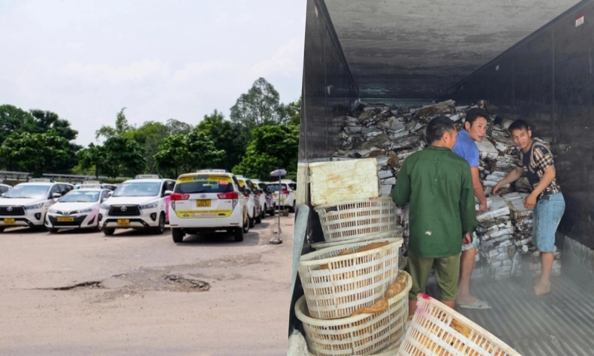 Điểm tin sáng 29/5: Thu hồi 3.500m2 đất gần sân bay TSN | Hơn 30 tấn thực phẩm bẩn bị phát hiện