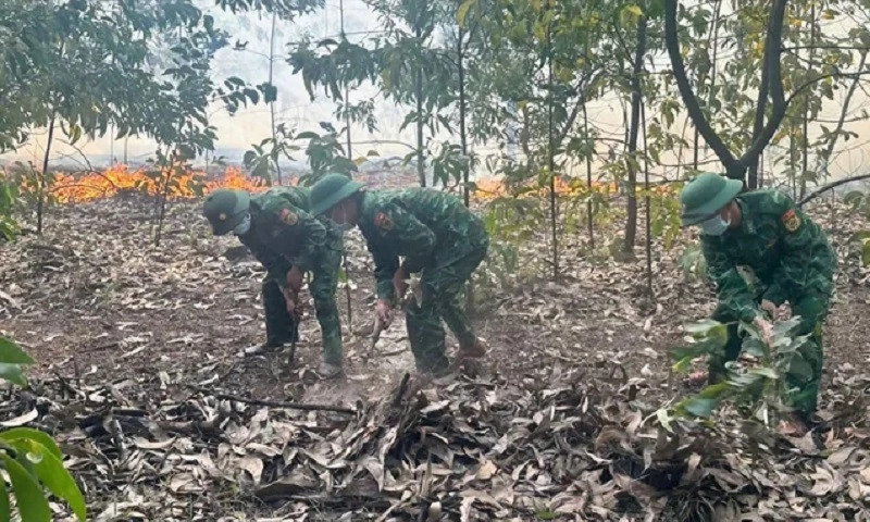 Cháy rừng tại Huế giữa trưa nắng gắt, bộ đội biên phòng và người dân kịp thời dập lửa