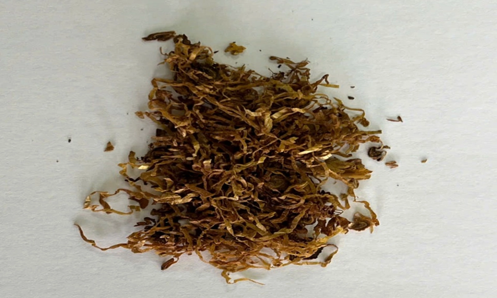 Xuất hiện chất ma túy gây ảo giác mạnh trên địa bàn tỉnh Lai Châu