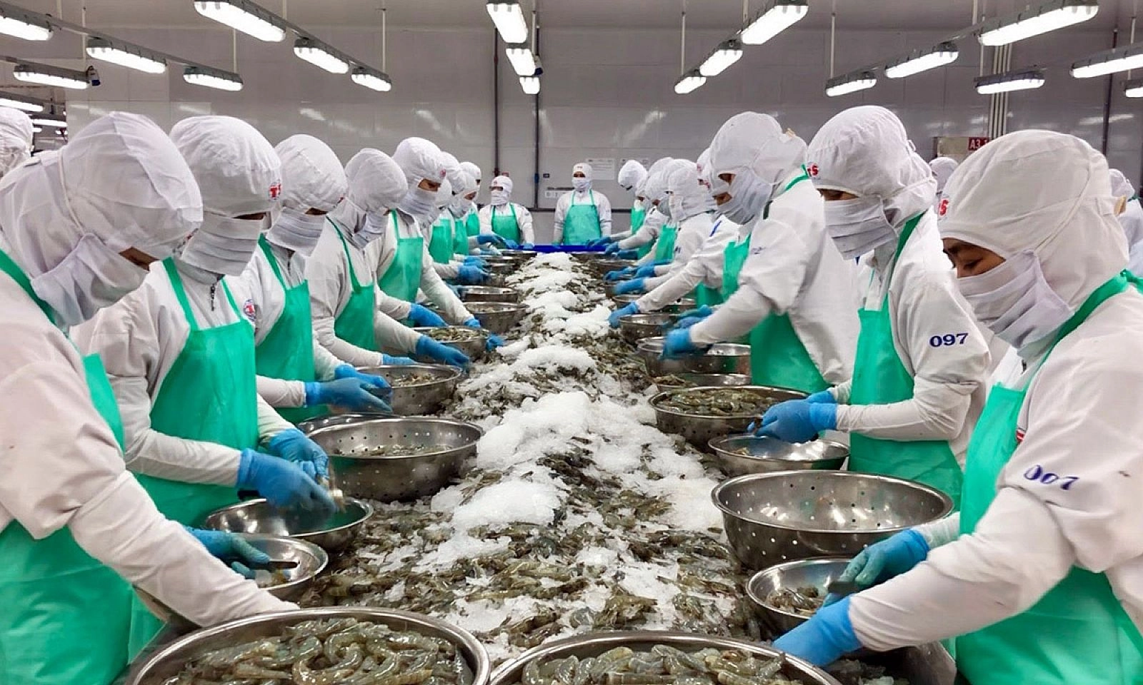 Gần 50 doanh nghiệp tìm cơ hội nhập khẩu nông sản, lâm sản, thủy sản vào Mỹ