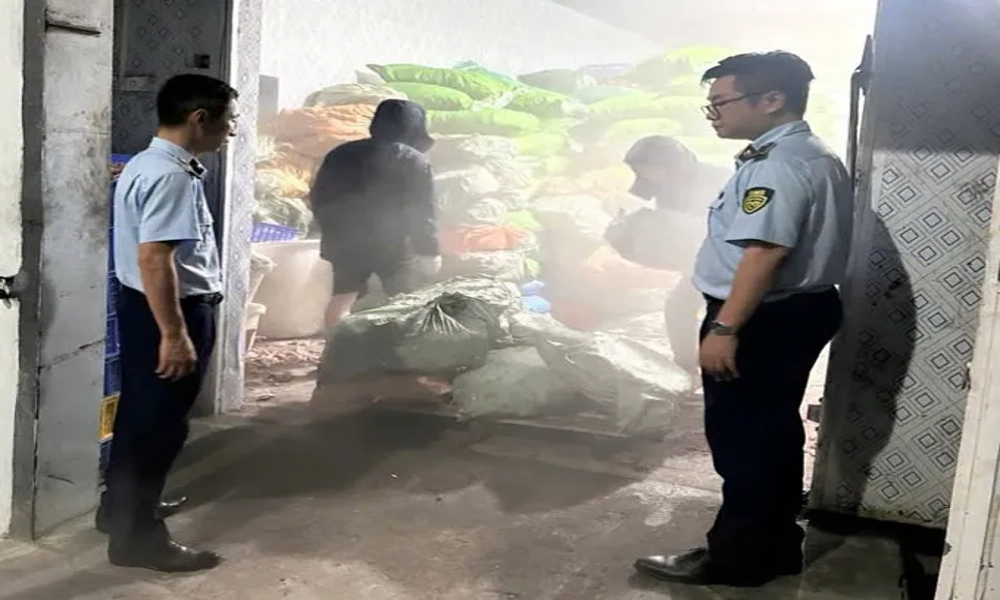Phát hiện kho lạnh chứa 12 tấn chân gà thối không rõ nguồn gốc