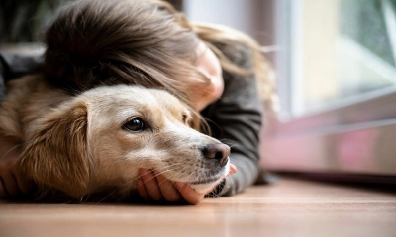 Nghiên cứu mới: Tiếp xúc với chó từ nhỏ có thể bảo vệ trẻ khỏi bệnh chàm da