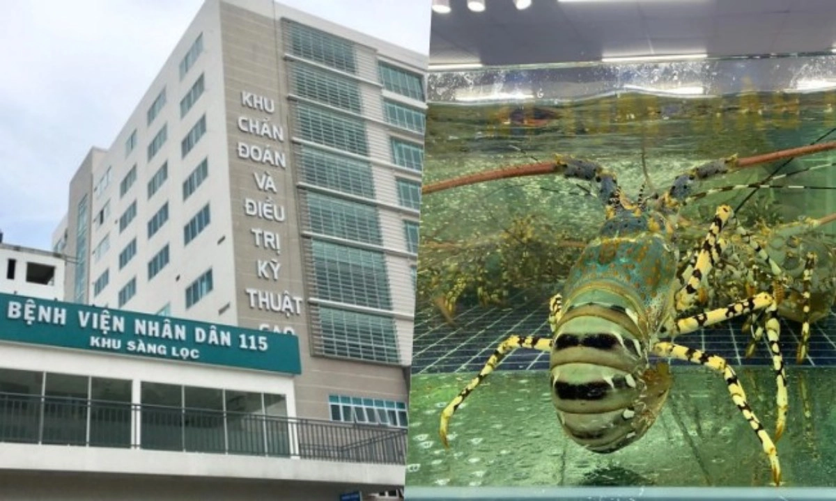 Điểm tin sáng 9/6: BV 115 bác thông tin sai về phí giữ xe | Bơm tạp chất vào tôm hùm