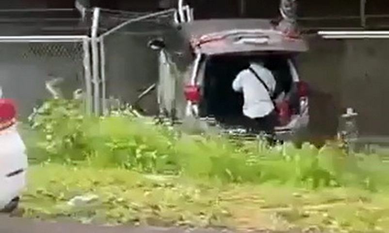 Video clip: Ô tô 7 chỗ mất lái lao khỏi cao tốc Phan Thiết - Dầu Giây
