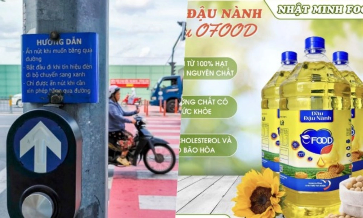 Điểm tin sáng 25/6: Xem xét mở thêm đèn cảnh báo vạch đi bộ | Dầu chăn nuôi biến thành dầu ăn