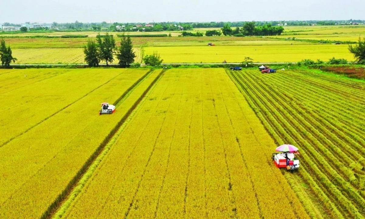 Miễn thuế sử dụng đất nông nghiệp đến hết năm 2030