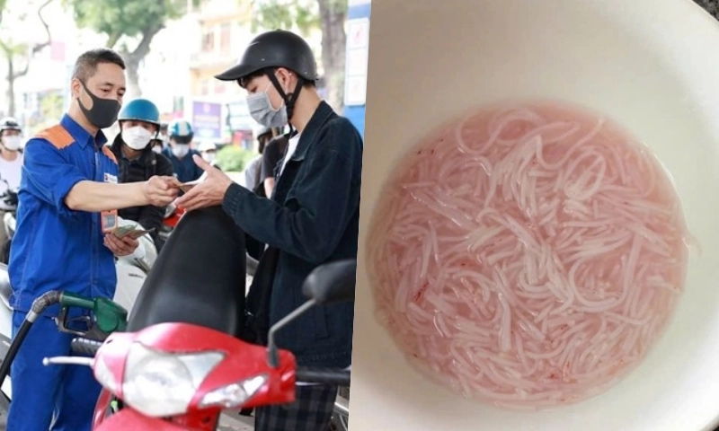 Điểm tin chiều 7/7: Dự báo giá xăng dầu tăng trở lại | Xác minh thông tin bún chuyển màu