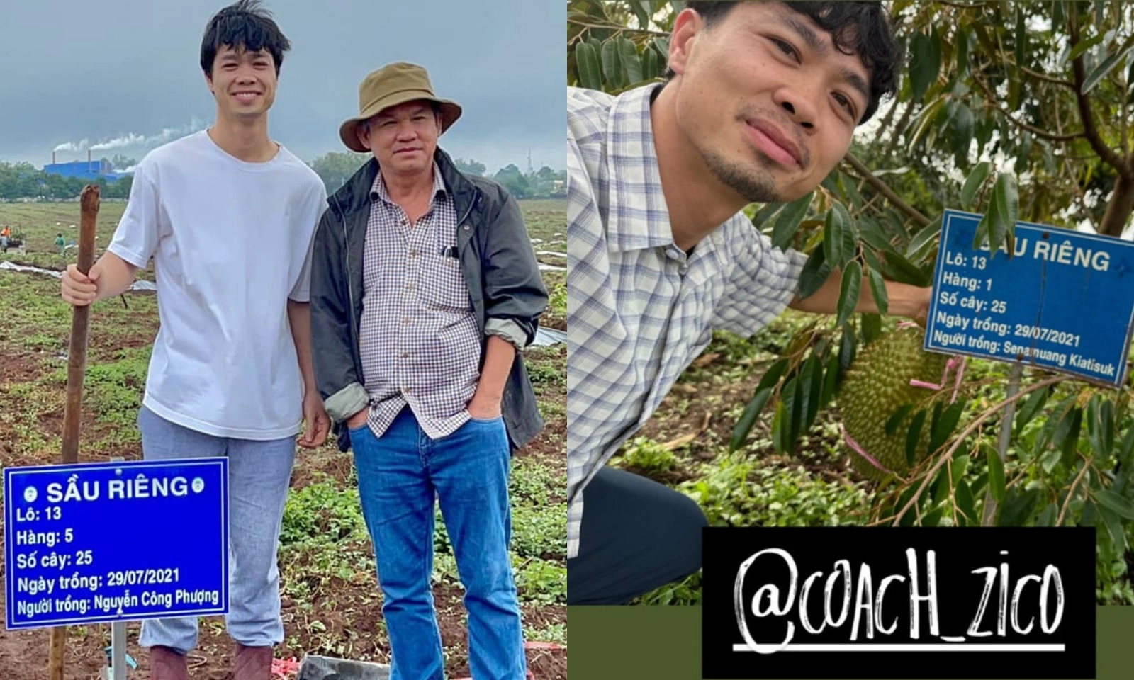 Công Phượng trở về Hoàng Anh Gia Lai, thu hoạch sầu riêng tự trồng 4 năm 