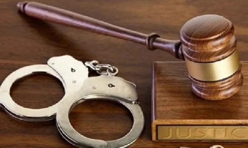 Hà Nội: Giám đốc đâm xe vào nhóm cán bộ thi hành án lãnh 13 năm tù vì tội giết người