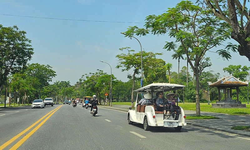 Xe buýt mới phải sử dụng điện, năng lượng xanh