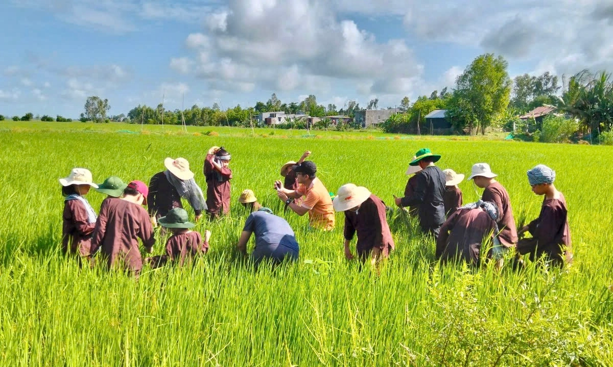 Khởi động “Kỳ hè nông nghiệp xanh  - Hành trình hạt gạo tương lai”