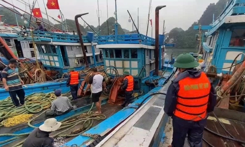 Bộ Quốc phòng huy động hơn 114 ngàn cán bộ, chiến sỹ ứng phó bão số 3