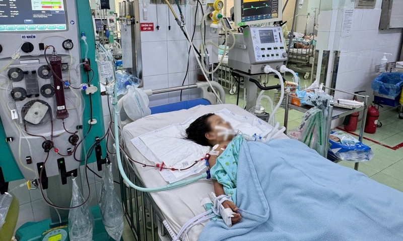 Sốt xuất huyết tăng nhanh 