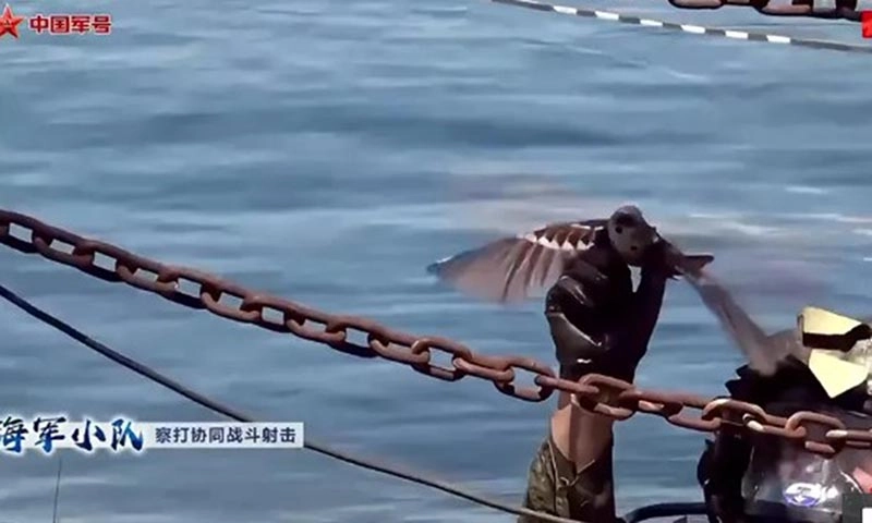 Trung Quốc: Phát triển máy bay không người lái có cánh đập như chim