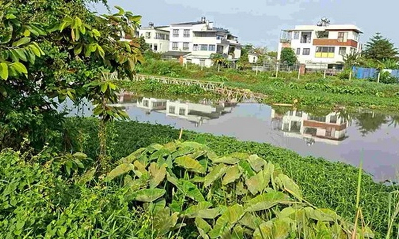 TPHCM: Cầu dân sinh ở rạch Ông Bố bị cuốn trôi sau mưa lớn