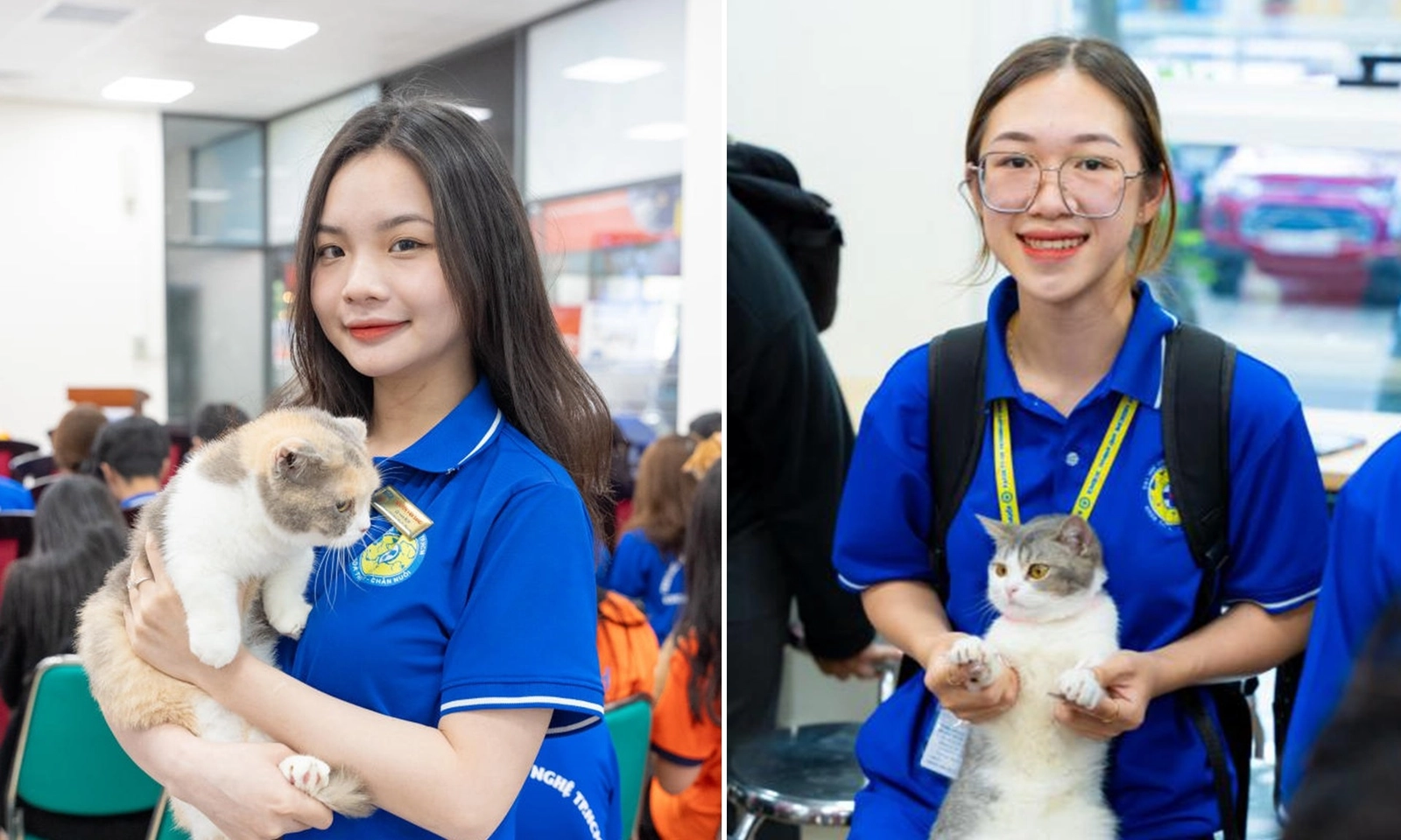 Ngành chăm sóc undefined thẩm mỹ thú cưng: Thu nhập có thể tới 40 triệu đồng/tháng