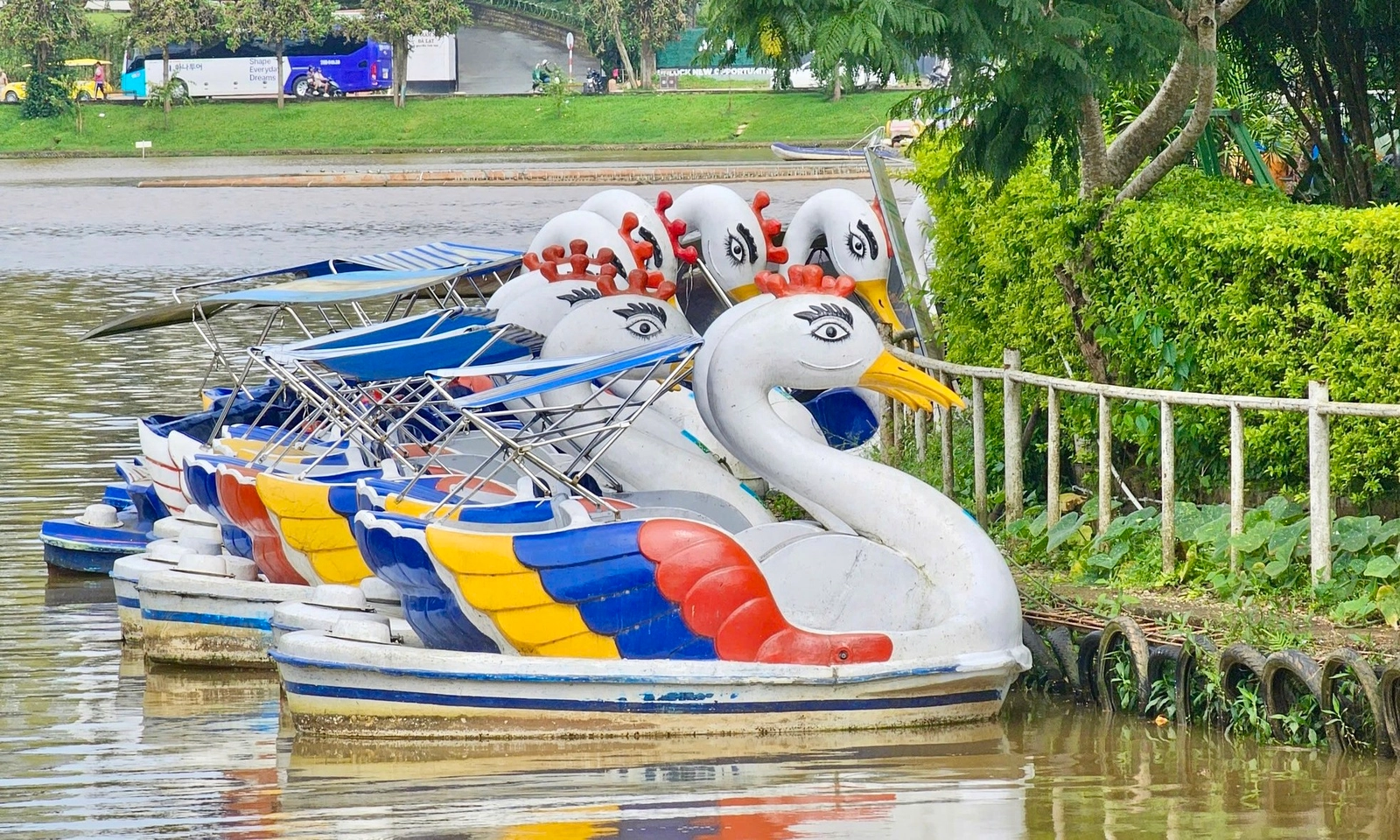 Đà Lạt cho phép dịch vụ xe đạp nước trên hồ Xuân Hương hoạt động trở lại