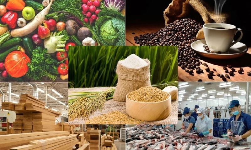 Kim ngạch xuất khẩu nông lâm thủy sản 8 tháng đầu năm đạt 45,37 tỷ USD, tăng trưởng 12% 