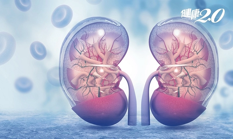 Thực phẩm nào gây hại cho thận nếu sử dụng thường xuyên?