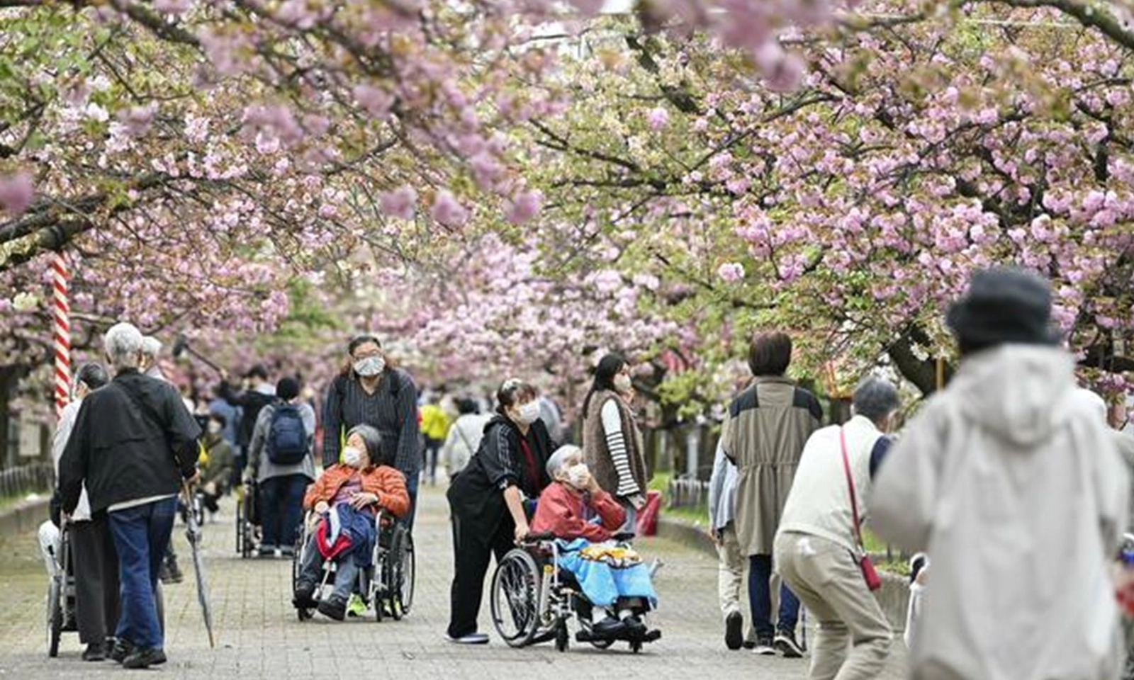 Kỷ lục: Người từ 65 tuổi trở lên chiếm gần 1/3 dân số Nhật Bản