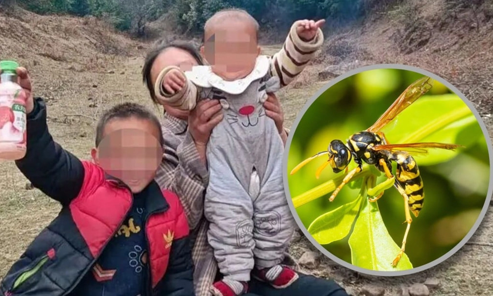 Hai trẻ tử vong vì bị ong bắp cày đốt 1.000 nốt khắp cơ thể