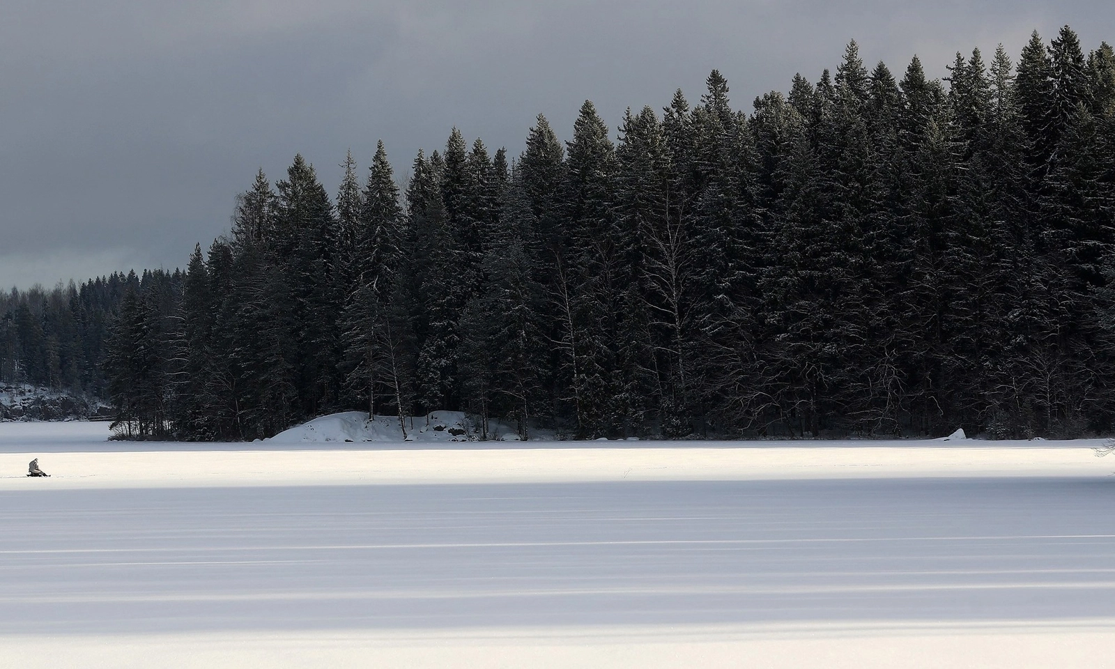 Thụy Điển và Phần Lan kêu gọi EU sửa mục tiêu khí hậu liên quan lâm nghiệp