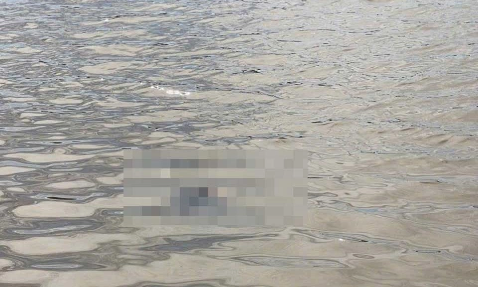 Phát hiện hai thi thể tại hồ đất Sao Mai