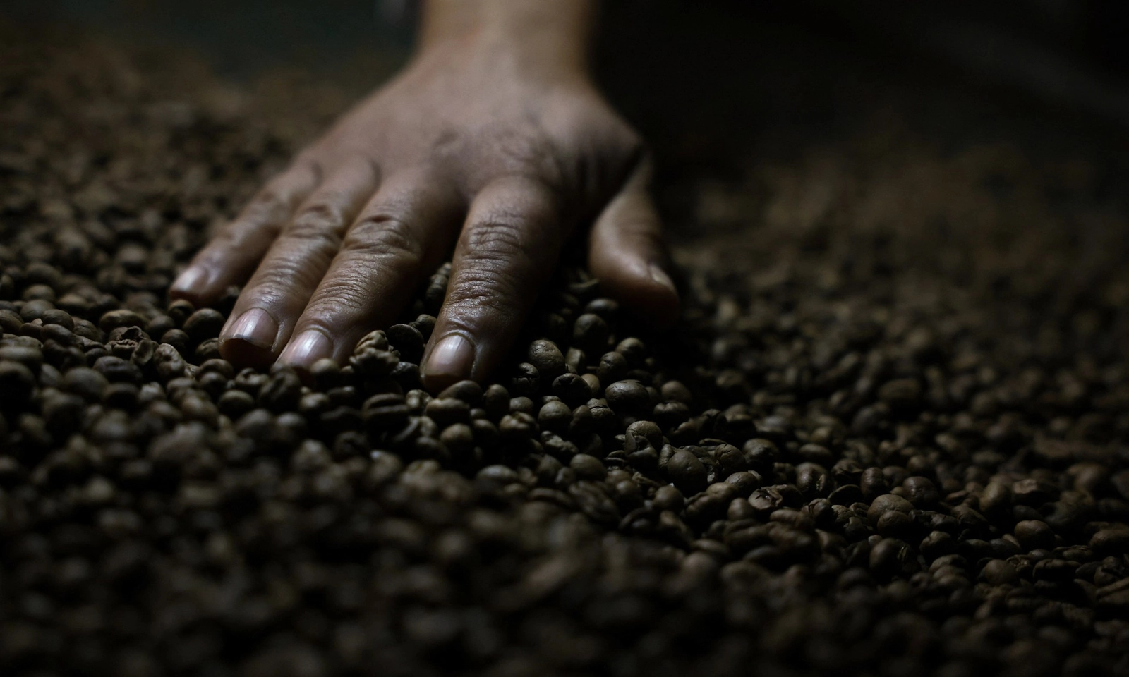 Nghịch lý: Người dân tại “cường quốc sản xuất cà phê” Brazil đang giảm tiêu thụ cà phê